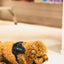 Curly brown dog chewing on Zaytoon medium olive wood dog chew toy on white floor
